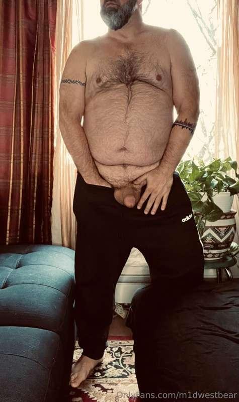 m1dwestbear image #1