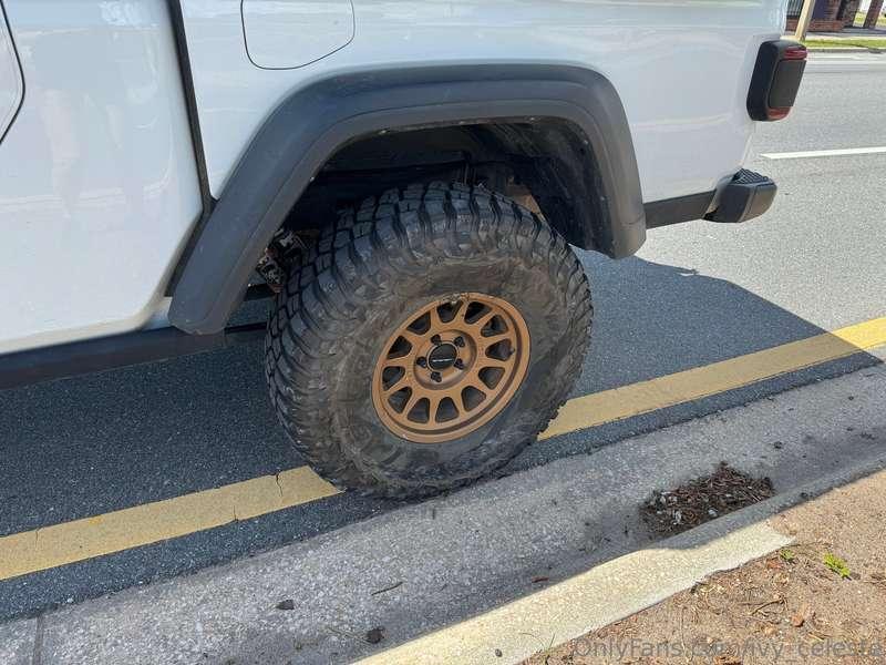 ivy_celeste image #1