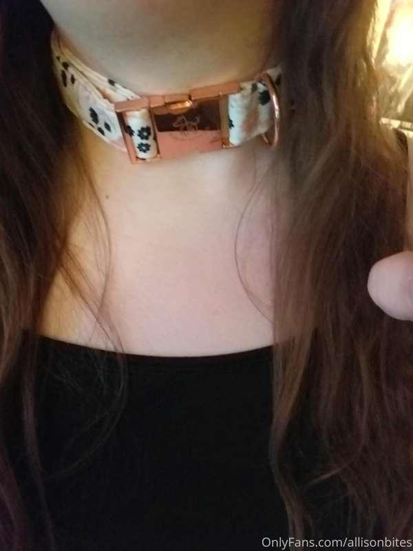 🐾🦴👅🥺👅🦴🐾