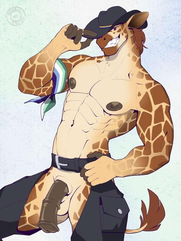 May's Batch of Patreon Rewards