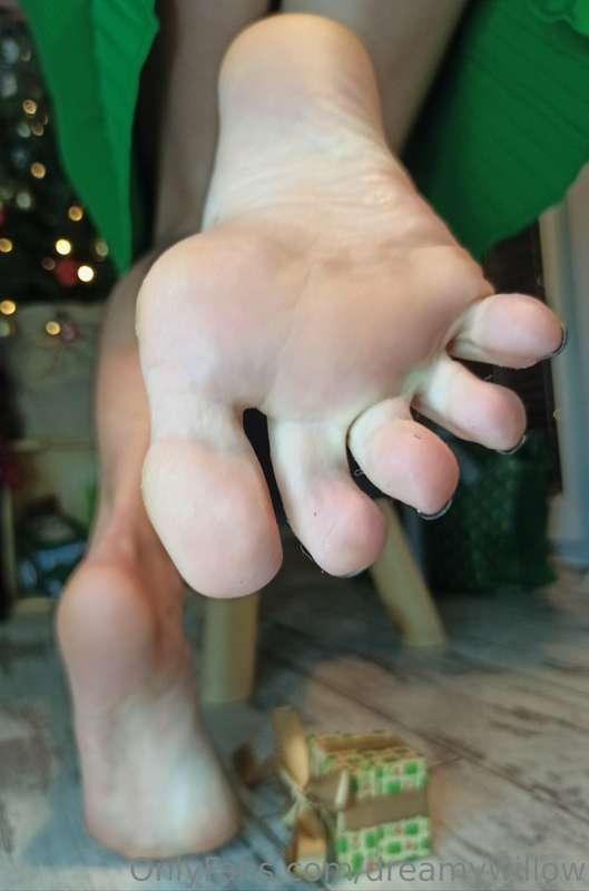 dreamywillow image #7