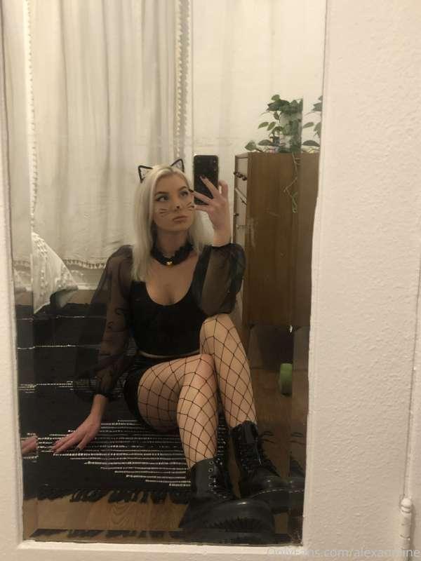 Have a safe night everyone 🐱