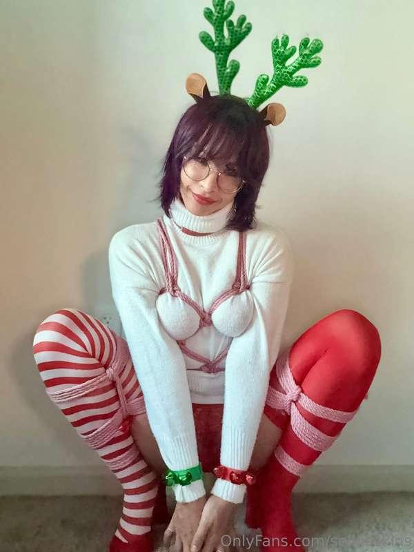 Who’s your favorite reindeer’s favorite reindeer?