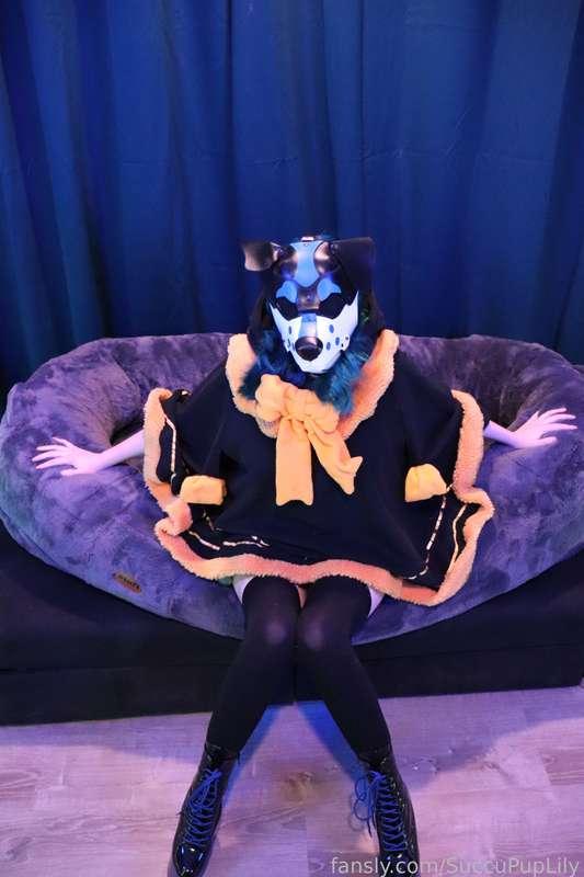 succupuplily image #10