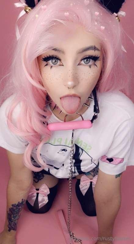 rustyfawkes image #2