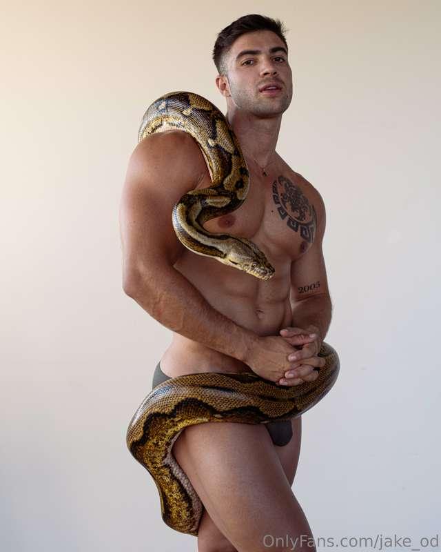 jake_od image #0