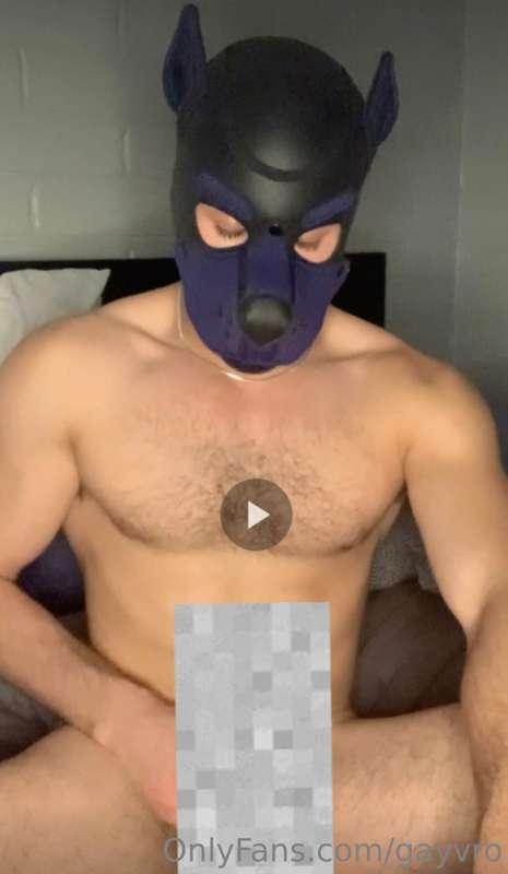 gayvro main image