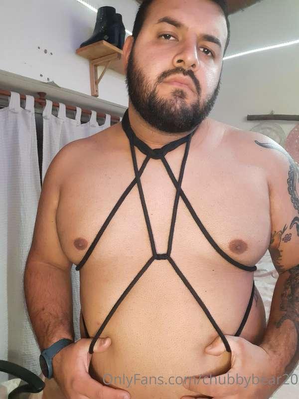 chubbybear20 image #0