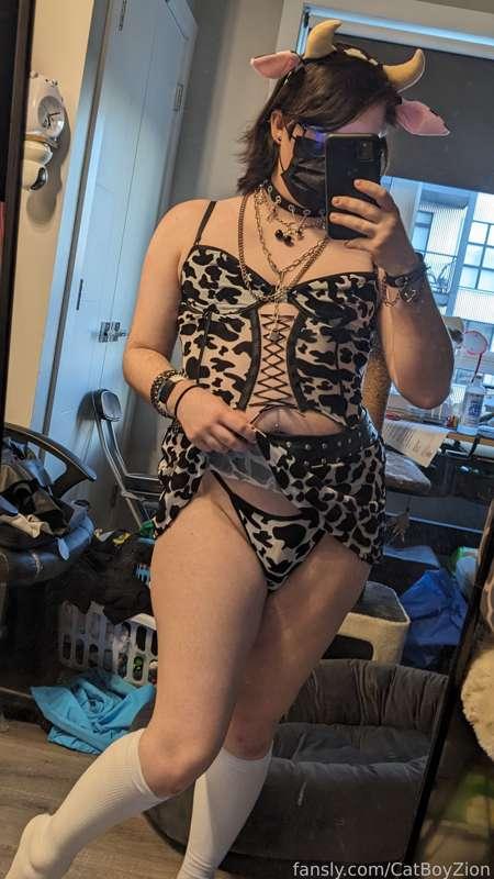 catboyzion image #11