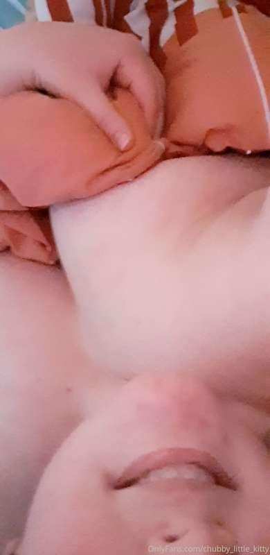 chubby_little_kitty image #1