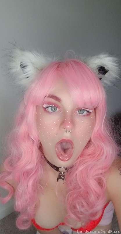 opalfoxx image #117