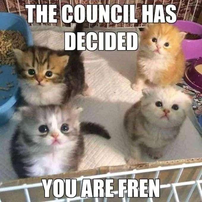 us when someone new joins the discord XD