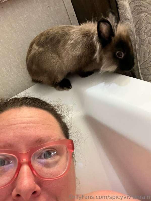 Some bunny is protective of me ❤️