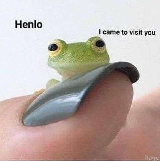 hmmm wanna visit u and jump like frog  on u 🐸 heheh

♡ #cute #schoolgirl #teen #nextdoorgirl #gfe #college #young #meme #tiny ♡