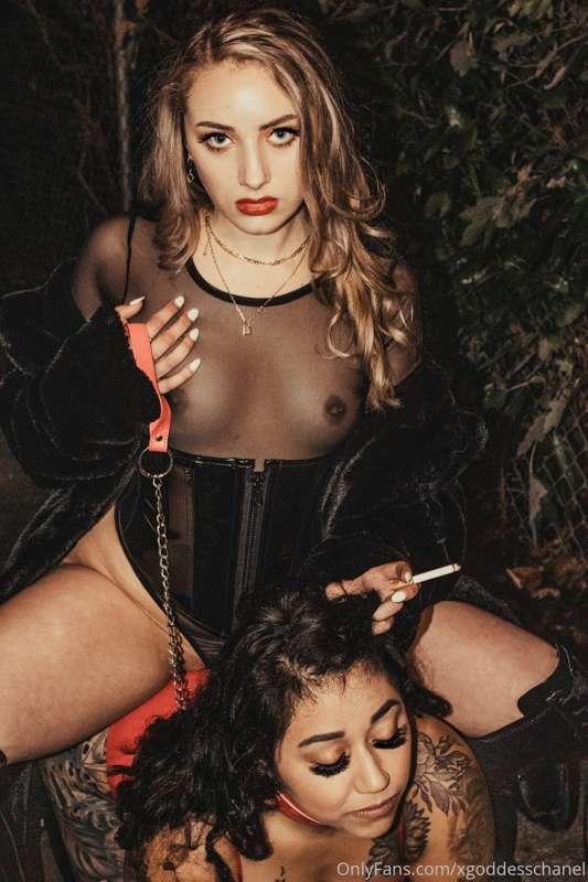 A queen on top of her throne. My new human ashtray/human fur..