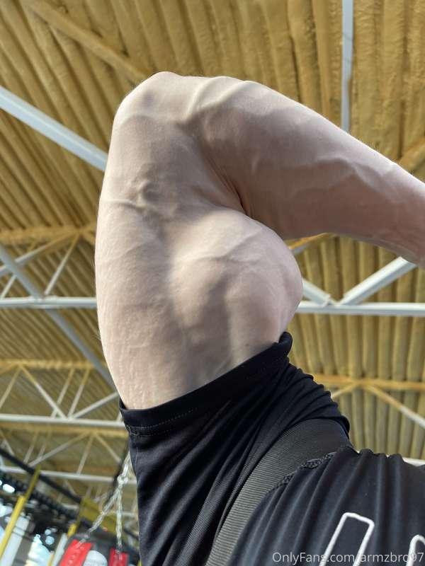 armzbro97 image #1