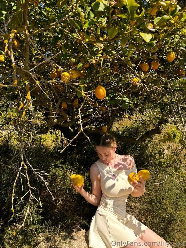 🍋 time to make lemonade 
