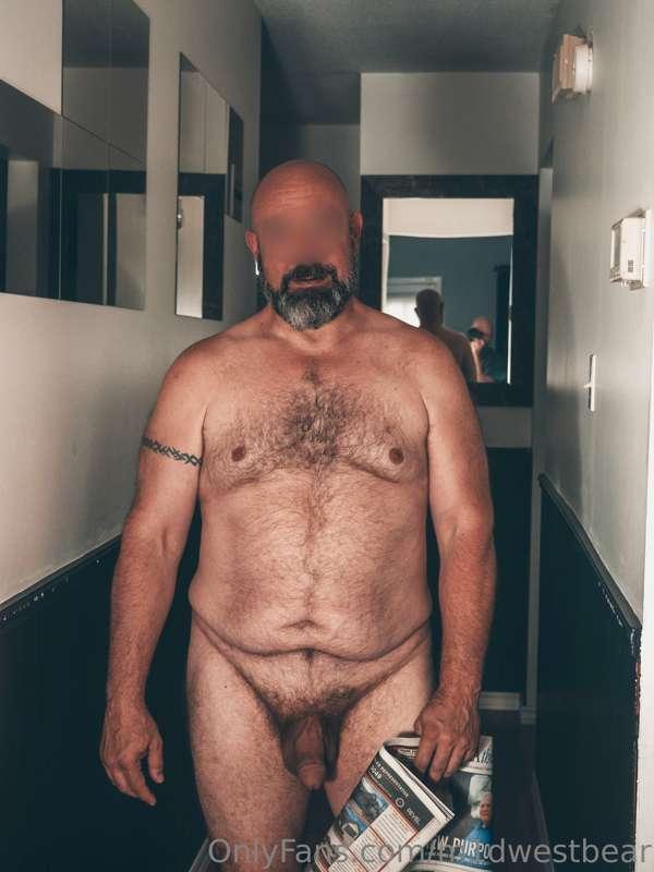 m1dwestbear image #0