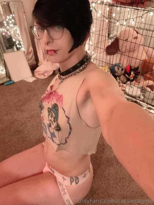 cassiecoyote image #3