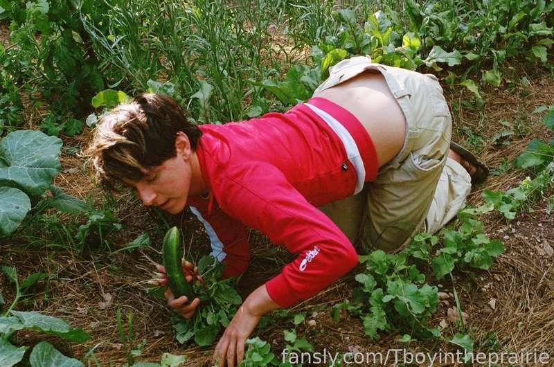 tboyintheprairie image #2