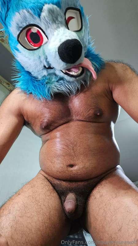 naughtyseawolf image #1