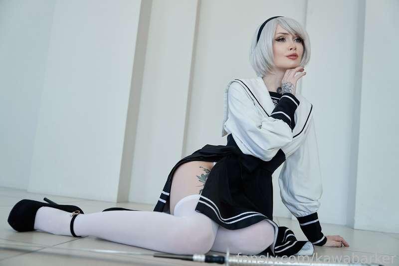 kawabarker image #2