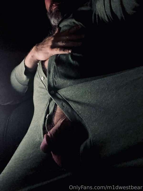 m1dwestbear image #8