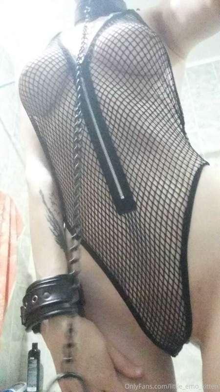 little_emo_kitten image #0