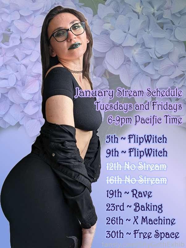 Here is January Stream Schedule! 
I'm streaming here on Fansly every Tuesday and Friday 6-9pm PST! 
I will not be streaming the 12th and the 16th I hope you won't miss me too much lol