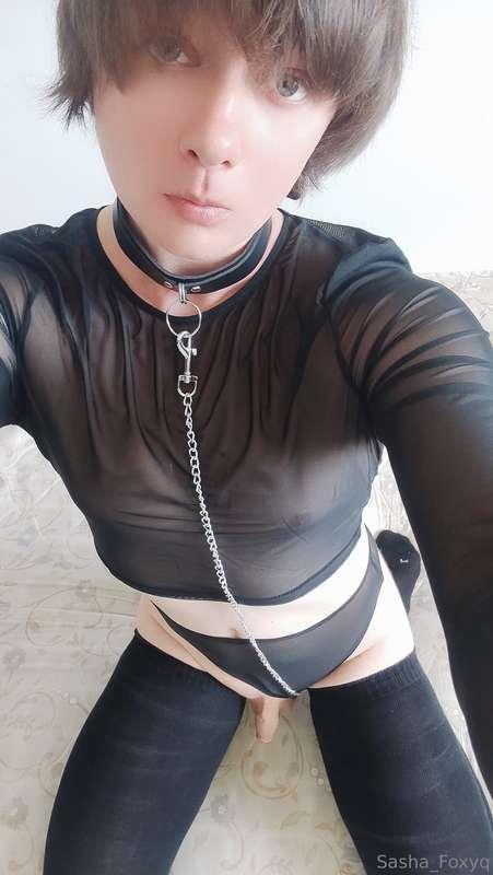 sasha_foxyq image #1