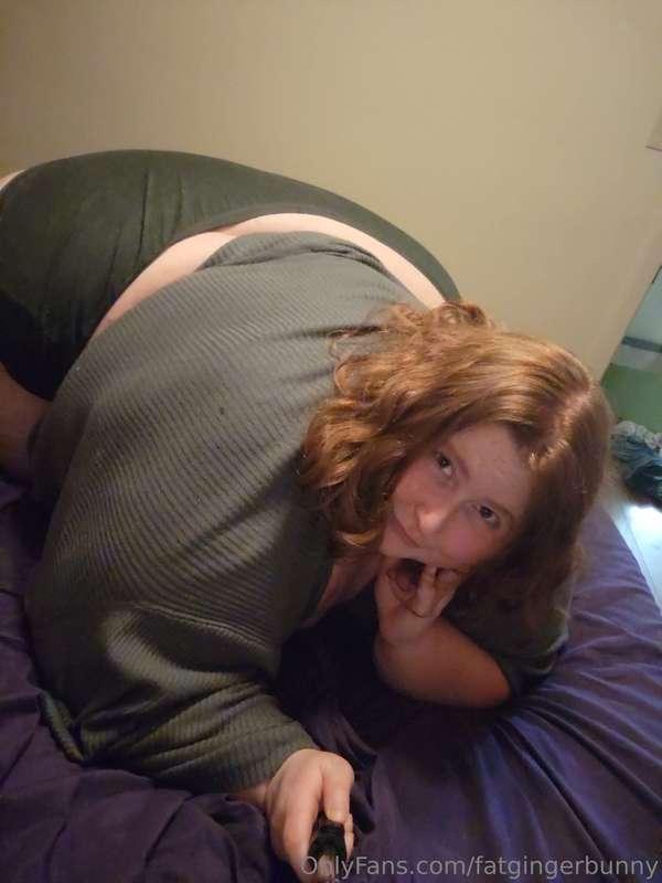 fatgingerbunny image #1