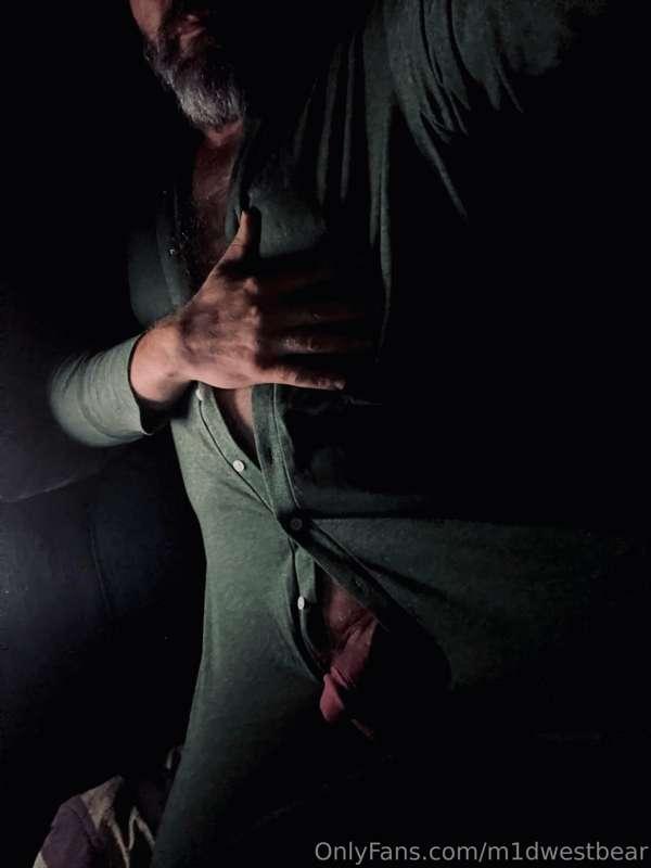 m1dwestbear image #9