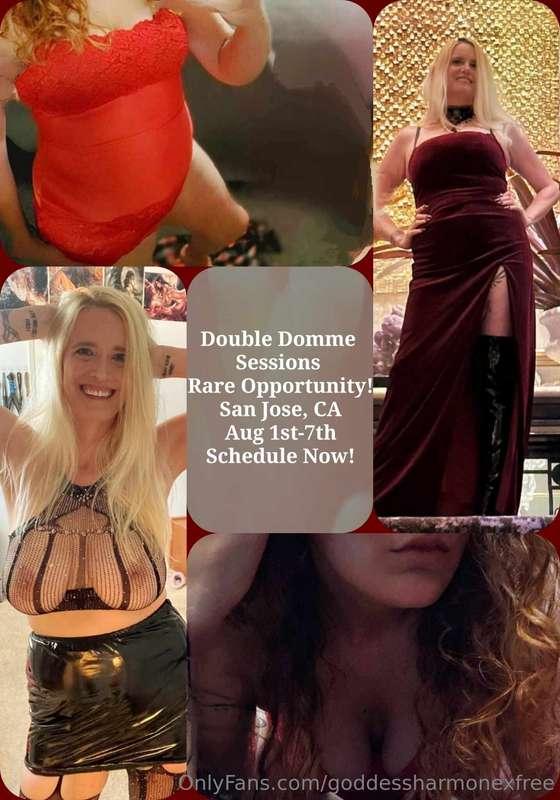 Msg me to schedule now!