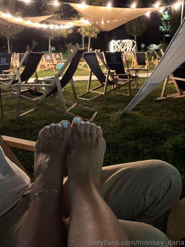 monkey_daria image #0