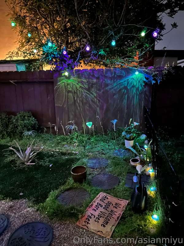 I love my new outdoor lights.