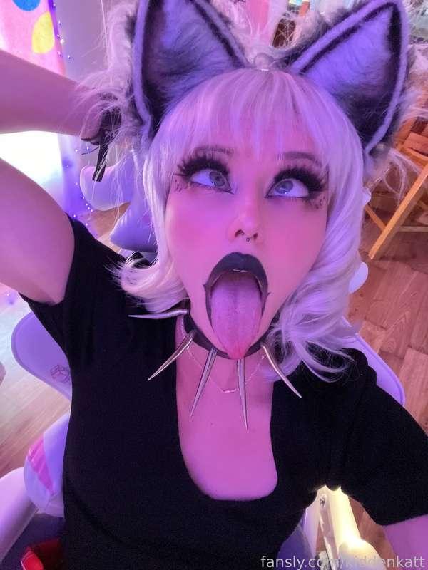 kiddenkatt image #1