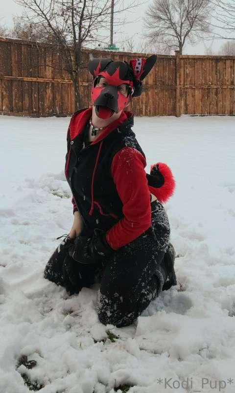 More snow fun! I had a little friend come say hi!