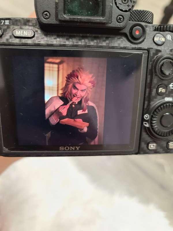 New shoot  