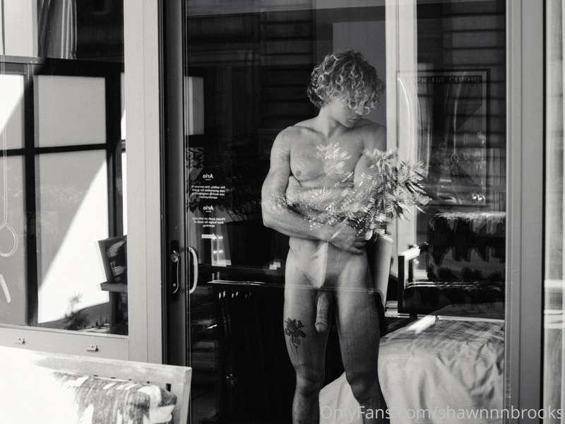 shawnnnbrooks image #7
