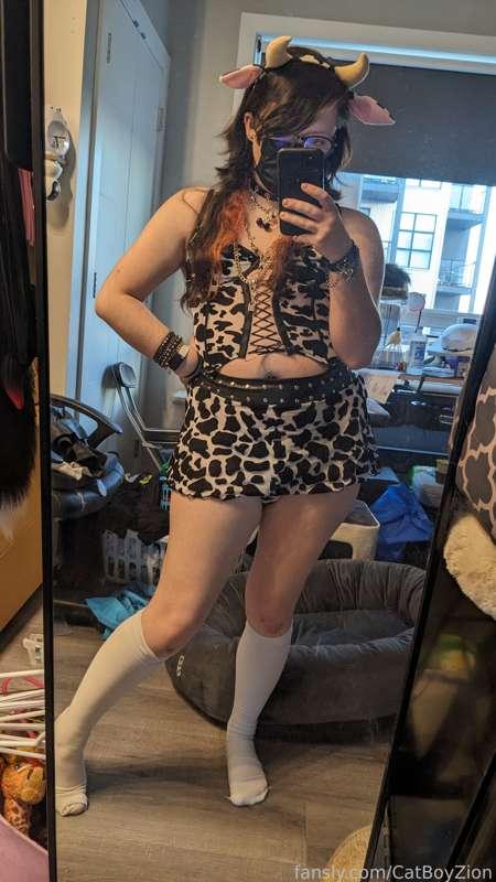 catboyzion image #3