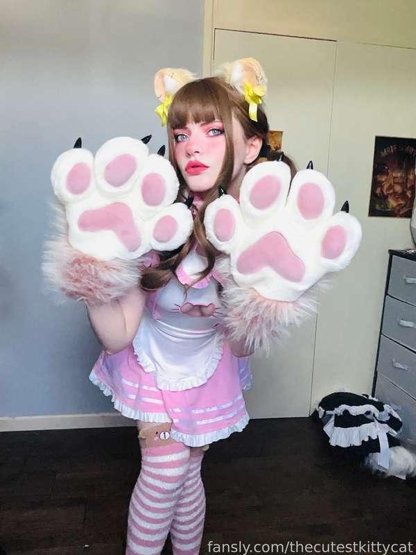 thecutestkittycat image #2