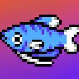 Tom Gourami