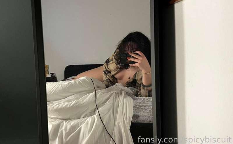 spicybiscuit image #2