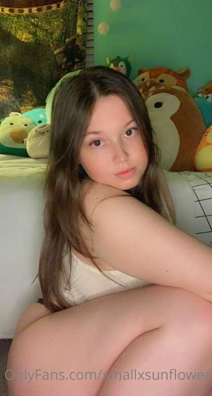 smallxsunflower image #0