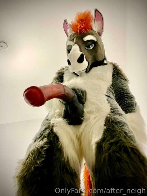 New account, same horse 😉

You look good on your knees 😏

Re..