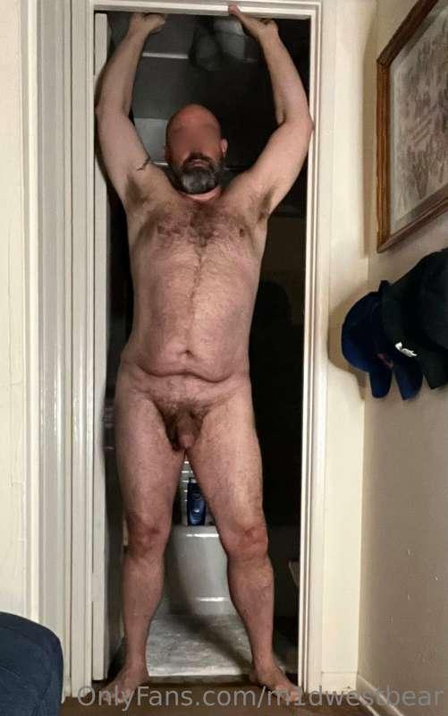 m1dwestbear image #4