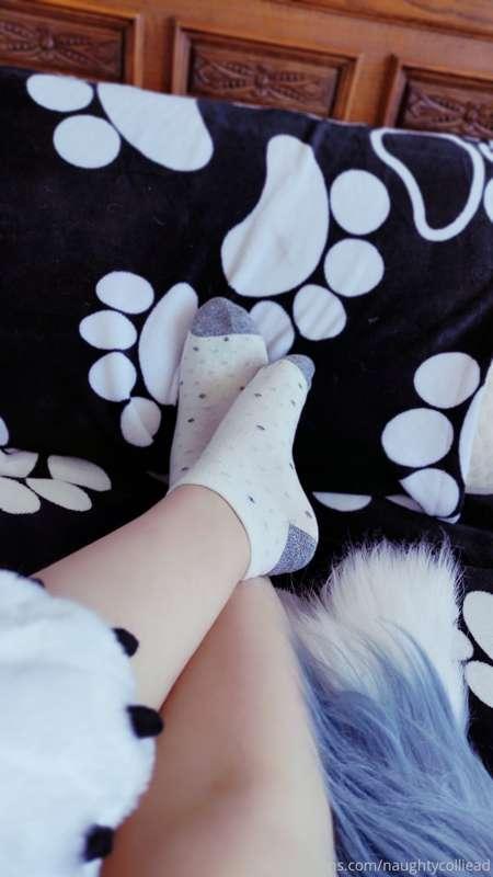 naughtycolliead image #2