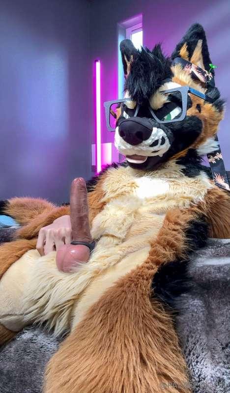 Time to play with the puppy bone~