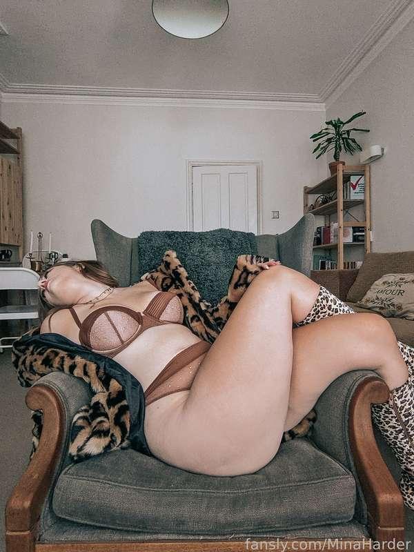 minaharder image #14