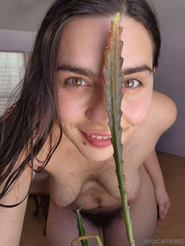 The new growth on my cactus is amazing! I've admired this pl..
